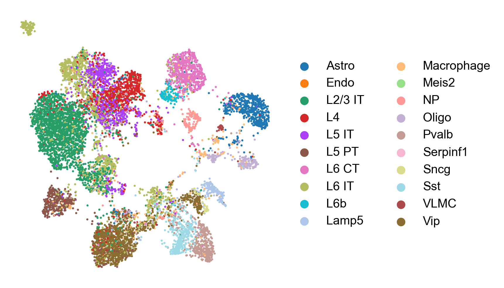 ../_images/Tutorials_Brain-ISSAC_8_1.png